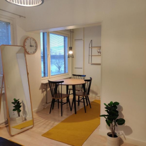 Huoneisto rantabulevardilla, 1-4 hengelle Savonlinna
